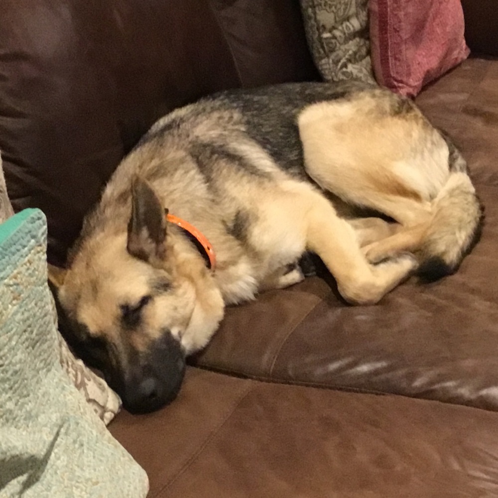 Meet your Posher, Leslie